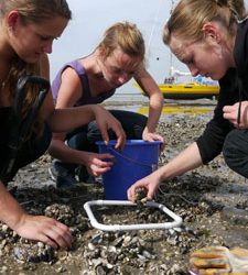 4 Schülerinnen mit Forschungsschiff auf der Nordsee unterwegs – von hier aus live dabei !