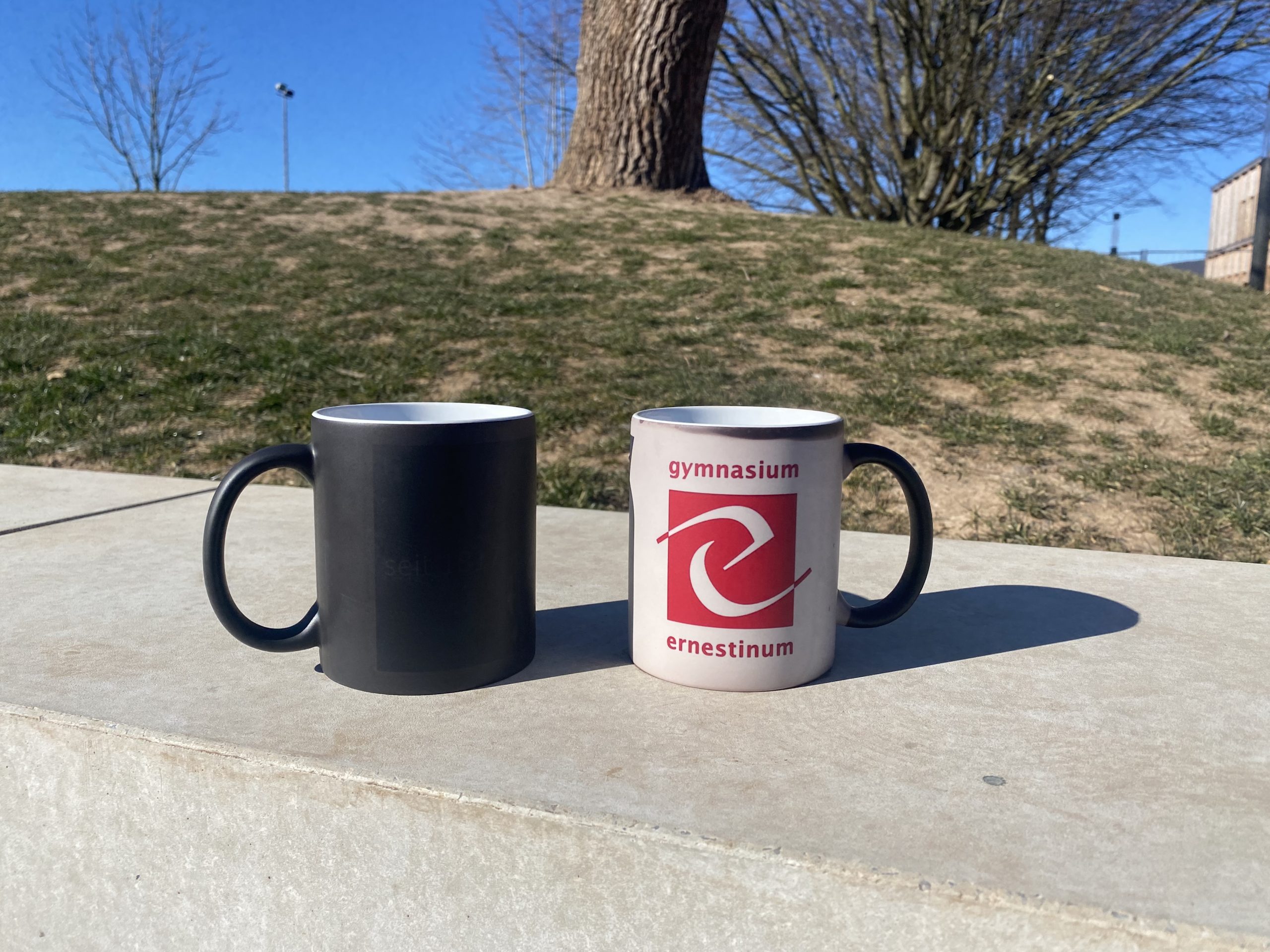 Zaubertasse "Ernestinum"