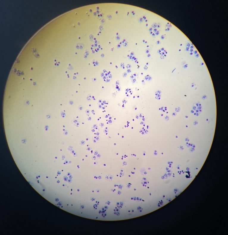 5D6F4AB1-179C-49E6-A13D-6D701F8A8A85