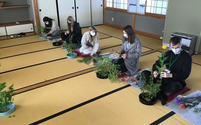 Japan – Land des Tees