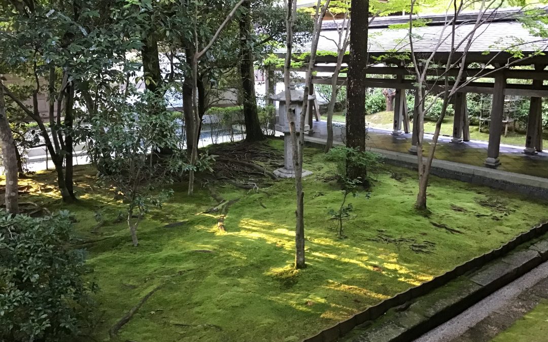 Japan – Land der Entspannung