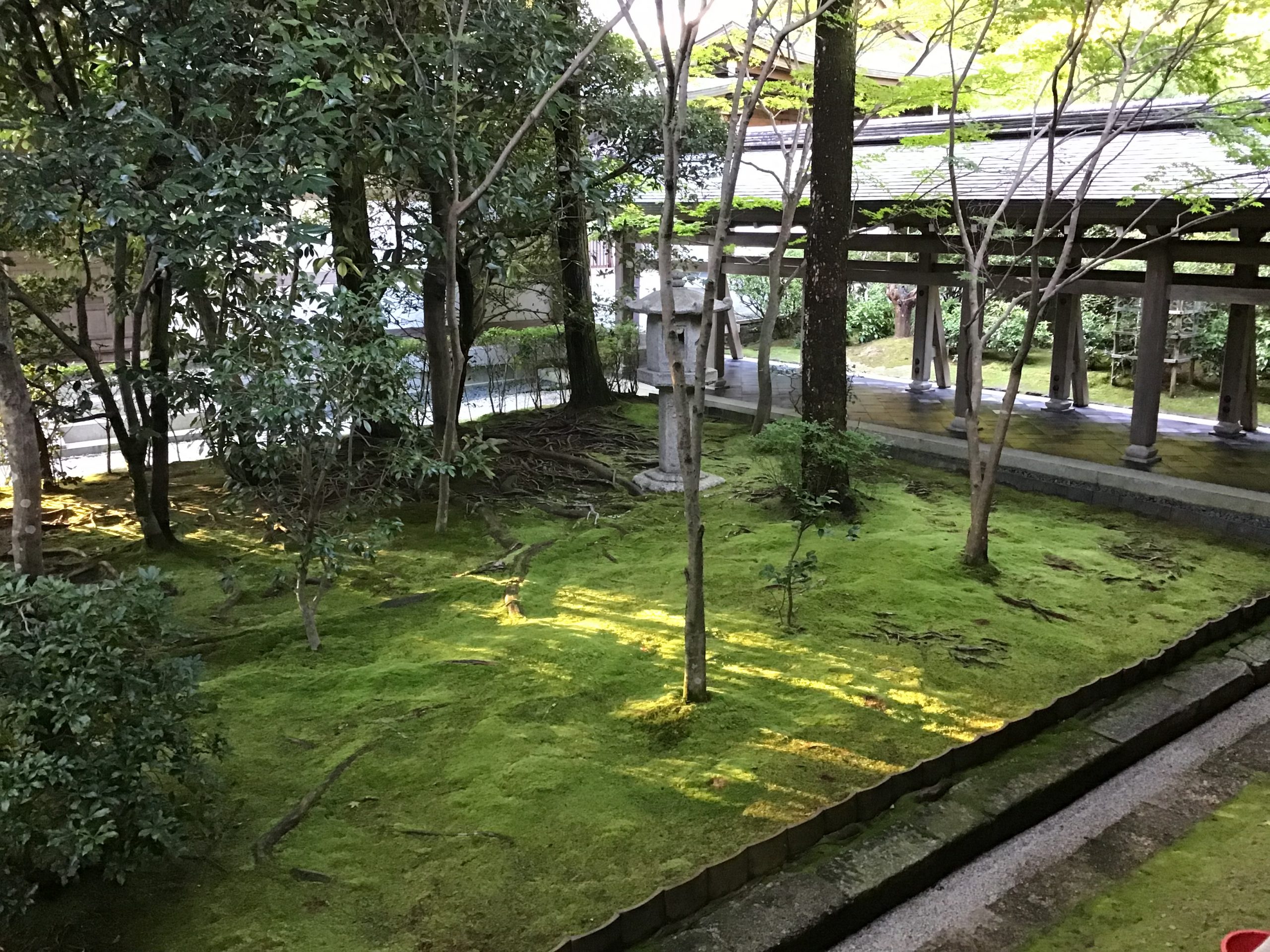 86F6F72B-EBAA-4934-85C9-7EDC8D59AB72