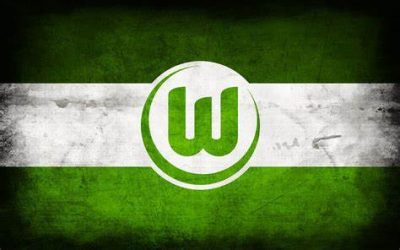 Ernestinum beim VfL Wolfsburg